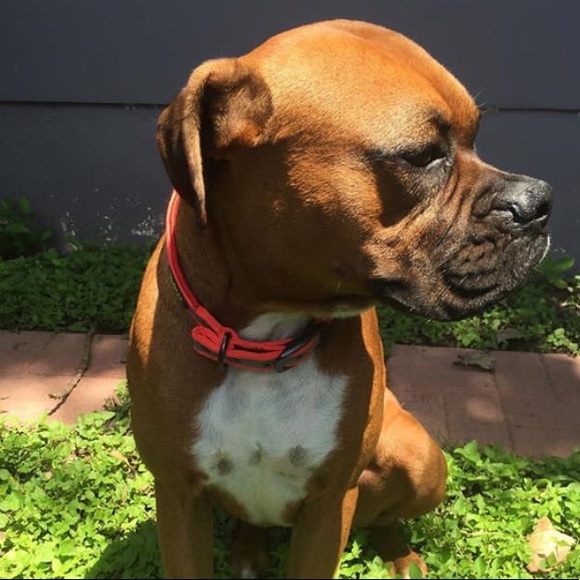 Meet your Posher, Jonny - Picture 2 of 3